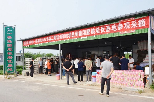 一滕集团举办2025年第三期施工过程全要素管理专题培训班