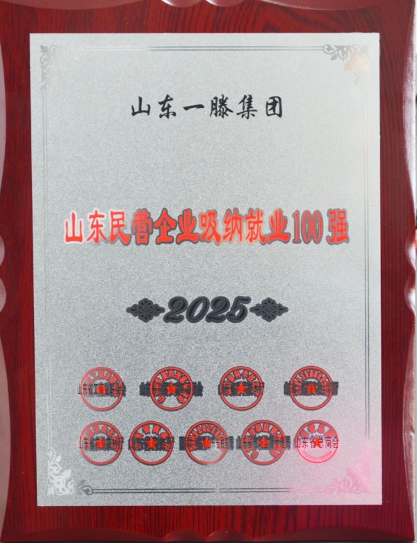 承荣誉之光 启发展新程 | 一滕建设2025全年荣誉回顾